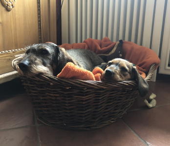 Mara & Chili